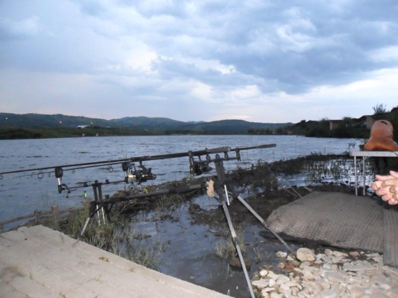 Green Paradise 28 - 30 iun. - sam0748.JPG